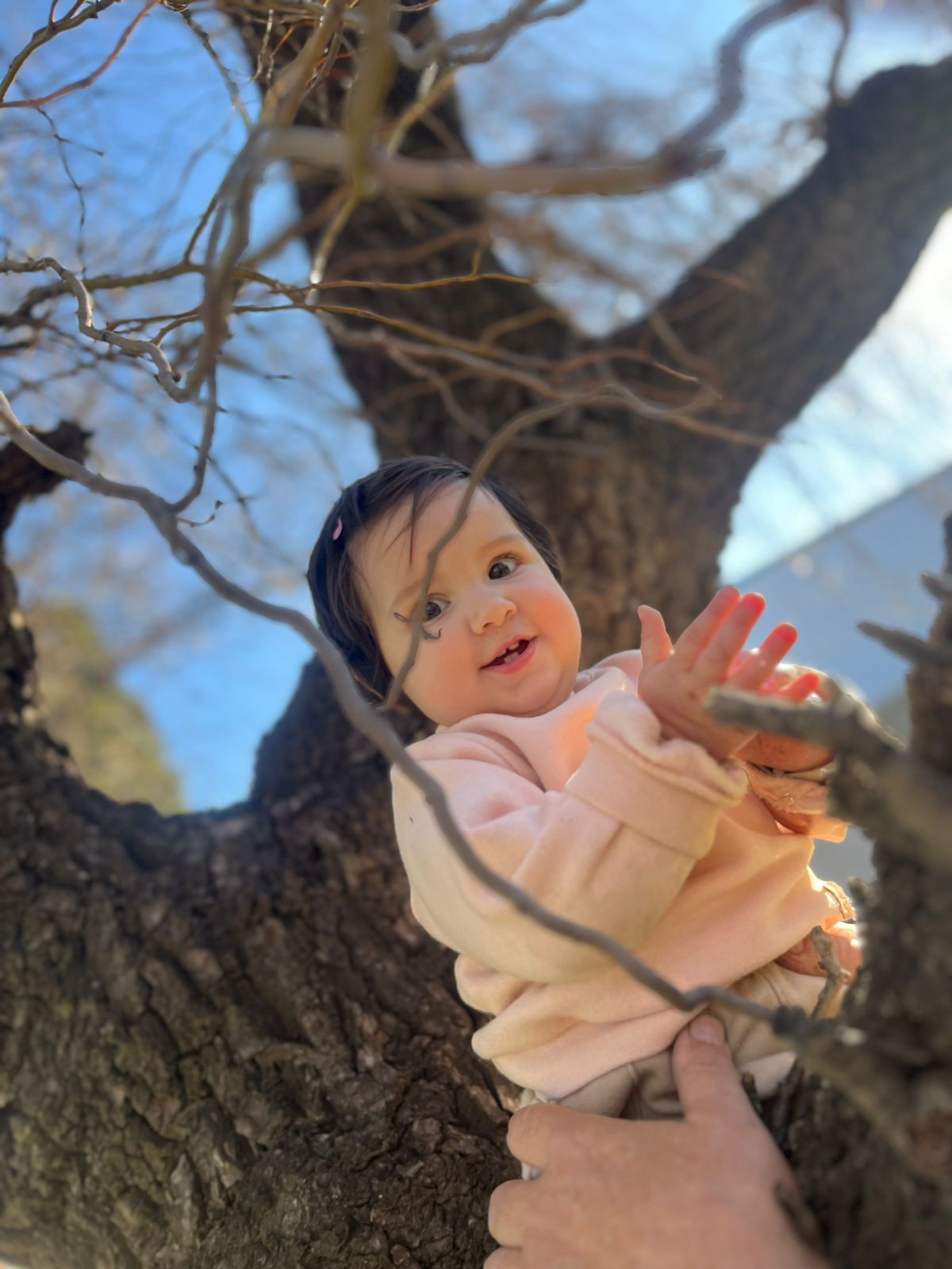 WhatsApp Image 2025-07-20 at 12.21.01.jpeg